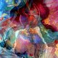 Abstract Iris