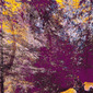 Winterland 8