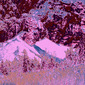 Winterland 47