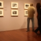The Paintography Project: Afternoon at the Art Museum, 9