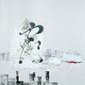 Kiri (fog) no. 1