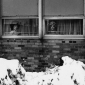 Snow Day