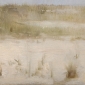Beach Grasses, 2