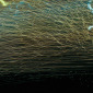 from "Speed of Light" series