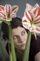 Isa Tenhaeff