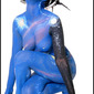 Cosmos Body