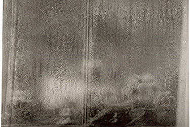 Collection Through the window ; created by Claudia Correa