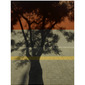 Chinese Shadows No.10