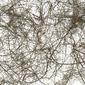 NATURE MORTE No. 01