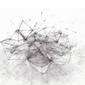 Geometric Drawing