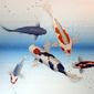 Free Fall Fish