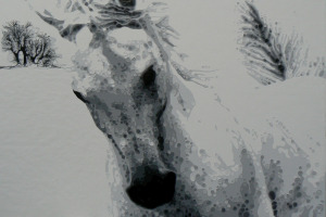 Gail Troth