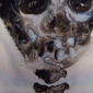 Untitled (the nature of life)