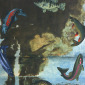 If Fish Could Fly...