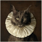 White Collar - Boy, Cat, Girl