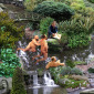 Watercourse
