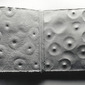 Precipitation Sari Maarit Cedergren