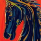 Ebony Knight