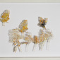 They say there are too may of us (2 sparrows and a gold finch)