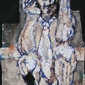 inscatolato (paesaggi umani) andrea cardia