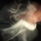 Kalliope Amorphous