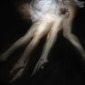 Kalliope Amorphous