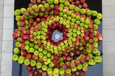 Collection Still Life with Apples; created by Ana Ivanovska