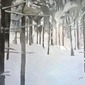Snow fog