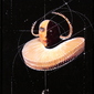 Joao Figueiredo