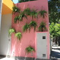 Ilhas | Islands