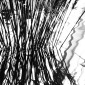 Frequency Theory