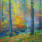 Black Forest Stream