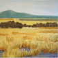 Paysage jaune