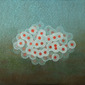 Particle Cloud