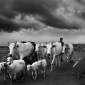 monsoon1