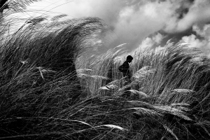 Arup Ghosh