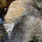 Awash
