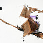 witches' broom