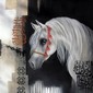 Le prince des sables
