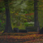 Plein Air 101