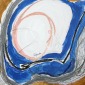 Boson bleu  by stefan haring