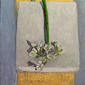 Anne Russell