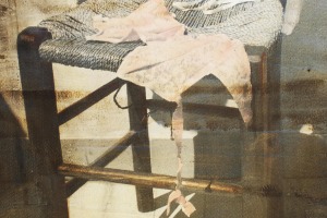 Denise Sanna