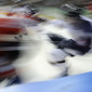 Hockey 1