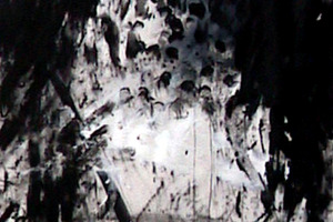 Philip Alsican