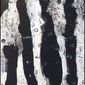 black 6-93