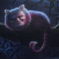 newtered cat