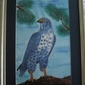 The Falcon