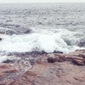 Surf