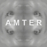Michael Amter
